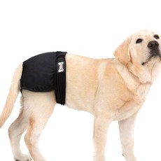 도그레미 반려견 좋은날 위생팬티 블랙, 초소형, 1개 반려동물용품/강아지 용품 반품 최저가 4,260원