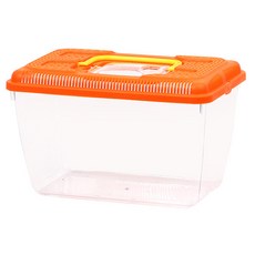 아쿠아선두 로마채집통 L P3 랜덤 발송, 1개 반려동물용품/소동물/가축용품 반품 최저가 4,450원