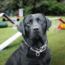 HS 울트라 스냅핀치 반려견 훈련용 목줄 409 반려동물용품/고양이 용품 반품 최저가 45,040원