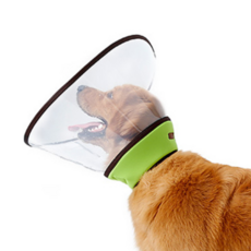 더플로우컴퍼니 부드럽게 착용하기 좋은 대형견용 넥카라 그린 XXL, 400g, 1개 반려동물용품/강아지 용품 반품 최저가 28,370원