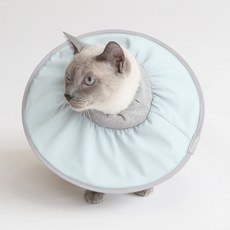 펫인뷰티 반려동물 제로 넥카라, 민트, 1개 반려동물용품/강아지 용품 반품 최저가 17,300원