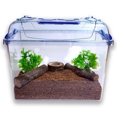 사필풍 장수풍뎅이 클린 사육세트, 1세트 반려동물용품/소동물/가축용품 반품 최저가 19,400원