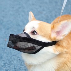 파스텔펫 중대형견 메쉬 입마개 L, 블랙, 1개 반려동물용품/펫티켓 산책용품 반품 최저가 5,420원
