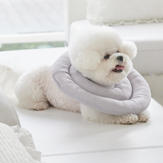 반려생각 UFO 반려동물 넥카라, 혼합색상, 1개 반려동물용품/강아지 용품 반품 최저가 9,990원