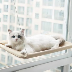 그뤠잇 해먹 윈도우 캣타워, 베이지아, 1개 반려동물용품/고양이 용품 반품 최저가 5,420원