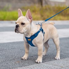 강아지 X형 스웨이드 소형견 중형견 가슴줄 하네스 + 리드줄 세트, 네이비, 1세트 반려동물용품/펫티켓 산책용품 반품 최저가 12,450원
