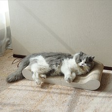 가또 머디 빅소파 고양이 스크래쳐 60cm, 혼합색상, 1개 반려동물용품/고양이 용품 반품 최저가 9,160원