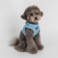 딩동펫 반려동물 베이직 워킹 하네스, 스카이블루, 1개 반려동물용품/펫티켓 산책용품 반품 최저가 3,030원