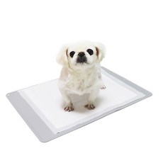 브라더펫 논슬립 강아지 방수 배변매트, 1개, 그레이 undefined/undefined 반품 최저가 8,920원