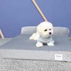 레드퍼피 개몽스 꿀잠 반려동물 침대, 다크그레이, 1개 반려동물용품/강아지 용품 반품 최저가 16,130원