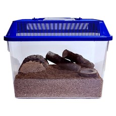 사필풍 아마존 사슴벌레 사각 산란세트, 랜덤 발송, 1세트 반려동물용품/소동물/가축용품 반품 최저가 22,120원