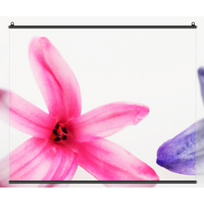 아라크네 시네마 스크린 100인치 족자봉타입 가전디지털/TV/영상가전 반품 최저가 28,490원