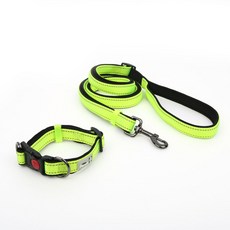 모즈펫 반려동물 네온 목줄 L + 리드줄 2m, 네온그린, 1세트 반려동물용품/펫티켓 산책용품 반품 최저가 9,780원