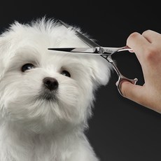 바비온 강아지 고양이 EL 6 일자 미용가위 5.4 x 17.5 cm E2-601S, 1개 반려동물용품/강아지 용품 반품 최저가 13,600원