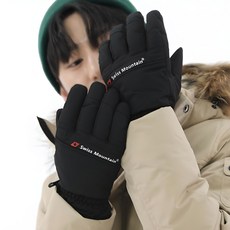 스위스마운틴 남성용 스키장갑 BC910, 블랙, 1개 패션의류/잡화/남성패션 반품 최저가 11,560원