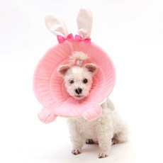 펫데일리 반려동물 핑크래빗 넥카라 목보호대 M, 1개 반려동물용품/강아지 용품 반품 최저가 4,930원