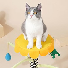 당감샵 고양이 모빌 사냥 장난감 미니 캣타워, 1개 반려동물용품/고양이 용품 반품 최저가 26,460원