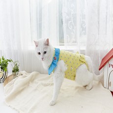 세이펫 반디 도트 중성화복, 옐로우, 1개 반려동물용품/고양이 용품 반품 최저가 7,170원