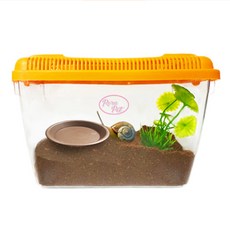 로라펫 로마 달팽이 키우기 세트 S, 랜덤발송, 1세트 반려동물용품/소동물/가축용품 반품 최저가 9,620원