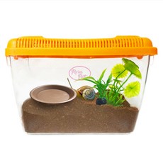 로라펫 로마 달팽이 키우기 세트 L, 랜덤발송, 1세트 반려동물용품/소동물/가축용품 반품 최저가 10,520원