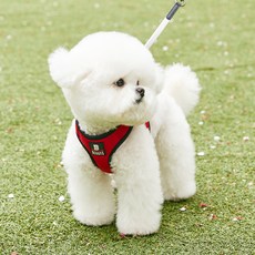 베니즈 베이직 하네스, 레드, 1개 undefined/undefined 반품 최저가 16,030원