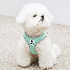 베니즈 베이직 하네스, 민트, 1개 반려동물용품/강아지 용품 반품 최저가 18,520원