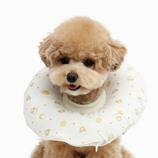 이츠독 강아지 홈케어링 넥카라, 곰고미, 1개 반려동물용품/강아지 용품 반품 최저가 18,220원