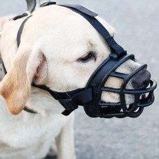 퍼피마인드 대형견입마개 머즐, 1개 반려동물용품/펫티켓 산책용품 반품 최저가 4,970원