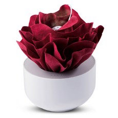엠아이디자인 복합식 미니가습기 HMD-0016, HMD-0016(레드) 가전디지털/계절가전 반품 최저가 39,600원