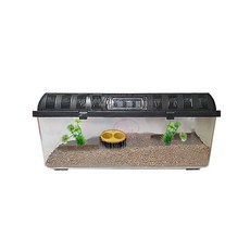 로라펫 곤충 키우기 세트 파충류 사육장 3호, 혼합색상, 1세트 반려동물용품/소동물/가축용품 반품 최저가 14,140원