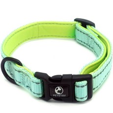 펫스츄리 반려견 에어쿠션 목줄, MINT, 1개 반려동물용품/펫티켓 산책용품 반품 최저가 6,940원