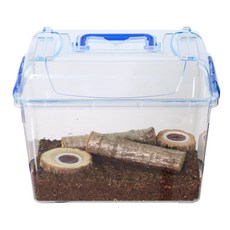 장수풍뎅이 키우기 관찰용 클린 세트 대형, 혼합색상, 1세트 반려동물용품/소동물/가축용품 반품 최저가 9,380원