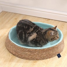 딩동펫 고양이 버드나무 둥지하우스 소형, 민트, 1개 반려동물용품/고양이 용품 반품 최저가 11,020원