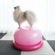 딩동펫 반려동물 탄탄 밸런스 짐볼, 핑크, 1개 반려동물용품/강아지 용품 반품 최저가 21,600원