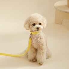 힛찌 강아지 초경량 부드러운 목줄, 레몬 옐로우, 1개 undefined/undefined 반품 최저가 9,410원