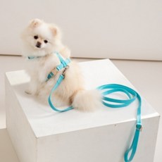 힛찌 초경량 소프트 강아지 목줄, 터키블루, 1개 undefined/undefined 반품 최저가 5,250원