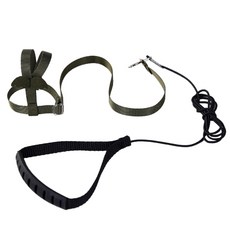 리젠스 앵무새 조류 훈련 하네스 줄 세트 S, 녹색, 1세트 undefined/undefined 반품 최저가 4,320원