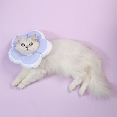 위러브 반려동물 꽃잎 넥카라, 라이트퍼플, 1개 반려동물용품/강아지 용품 반품 최저가 6,080원