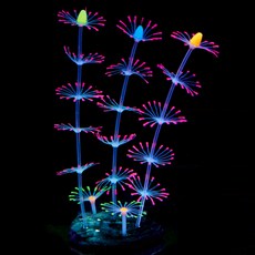 찐노마진몰 형광산호, 1개 반려동물용품/관상어 용품 반품 최저가 15,990원