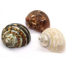 세틀 비치 아일랜드 씨쉘 수조장식 3종, 1세트 반려동물용품/관상어 용품 반품 최저가 5,040원