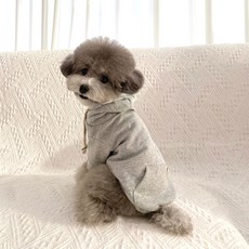 그루밍독 반려견 어반 캐주얼 무지 후드티, 그레이, 1개 반려동물용품/고양이 용품 반품 최저가 8,230원