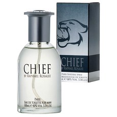 라파엘로사리 치프 애플 앤 시나몬향 남성용 향수 오 드 뚜왈렛, 100ml, 1개 뷰티/향수 반품 최저가 14,060원