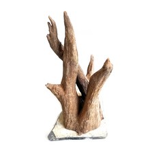 모비딕 네츄럴 루트 스톤유목, 1개 반려동물용품/관상어 용품 반품 최저가 5,450원