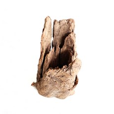 모비딕 그루터기 유목 수조장식, 1개 반려동물용품/관상어 용품 반품 최저가 6,160원