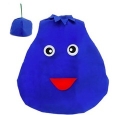 스투피드 아동용 역할놀이 과일 의상 블루베리 패션의류/잡화/여성패션 반품 최저가 9,360원