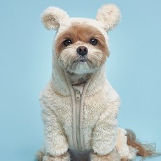 도그아이 반려동물 곰후드 올인원, 베이지, 1개 반려동물용품/고양이 용품 반품 최저가 10,140원