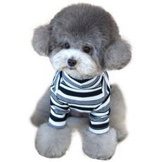 펫츠랜드 레나 골지 티셔츠, 네이비, 1개 반려동물용품/강아지 용품 반품 최저가 7,110원