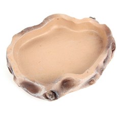 돌핀 파충류 먹이 물그릇 대, 혼합색상, 1개 반려동물용품/소동물/가축용품 반품 최저가 4,270원