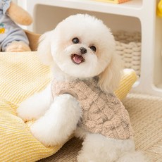 파스텔펫 반려동물 파스텔 보들 티셔츠, 베이지, 1개 undefined/undefined 반품 최저가 6,000원