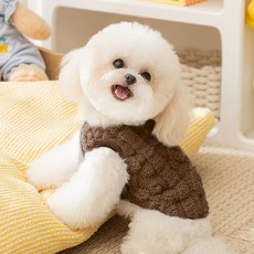 파스텔펫 반려동물 파스텔 보들 의류, 브라운, 1개 undefined/undefined 반품 최저가 5,160원